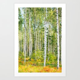 Sunny Day in Beautiful Birch Grove Landscape #decor #society6 #buyart Art Print