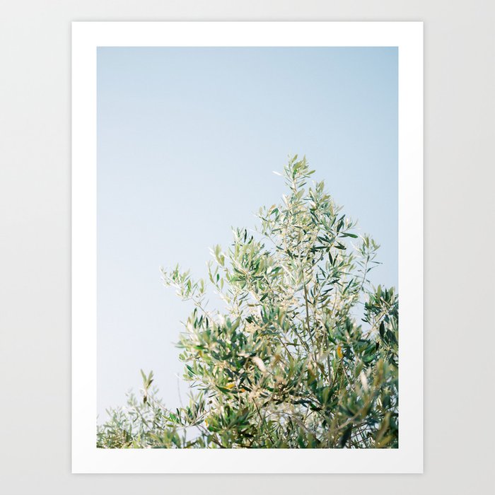 The olive tree | Italy fine art travel photography | Ostuni art Art Print