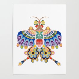 Rainbow Butterfly Kite Poster