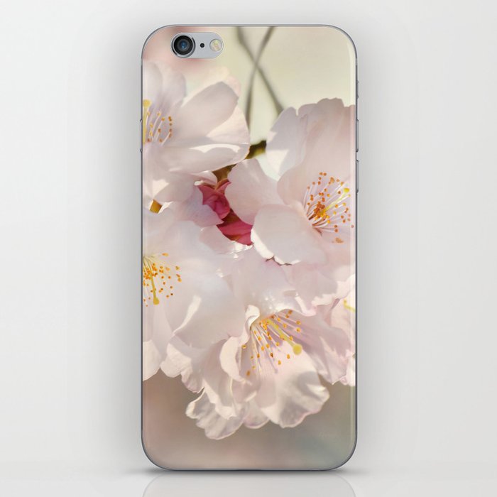 Cherry Blossoms  0210 iPhone Skin