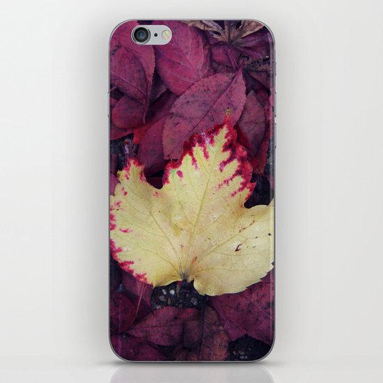 Vibrant iPhone & iPod Skin