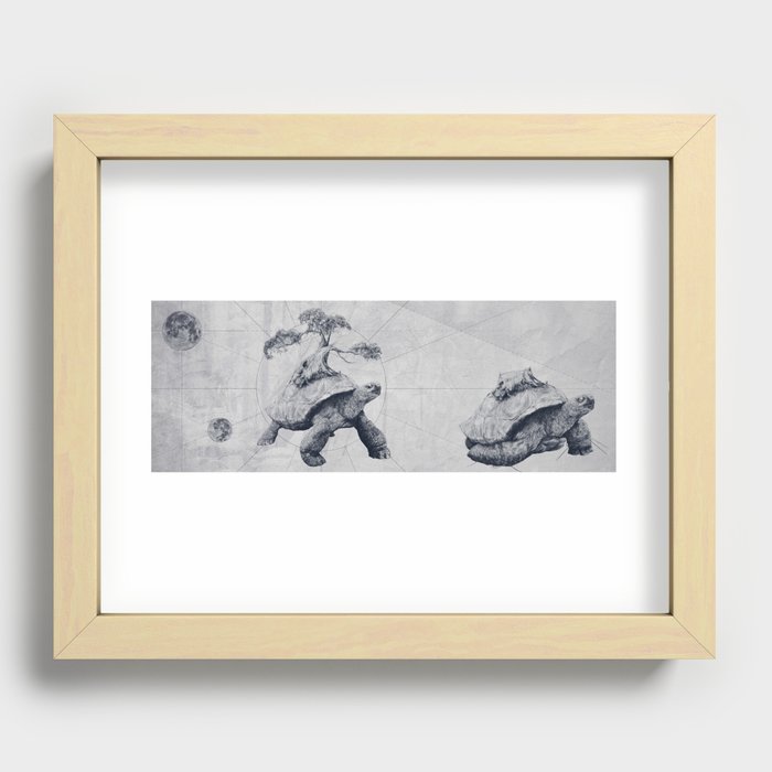 Tortoises - Fate Recessed Framed Print