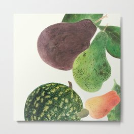 Fruit Medley Metal Print