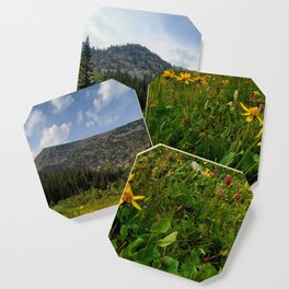 Wildflowers In the Mountains Coaster