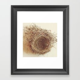 Nesting Ground Framed Art Print