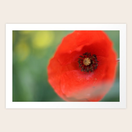 Poppy Art Print
