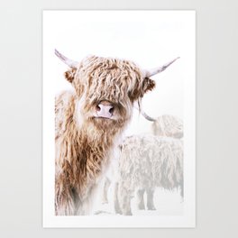 Highland Cattle Art Prints For Any Decor Style Society6