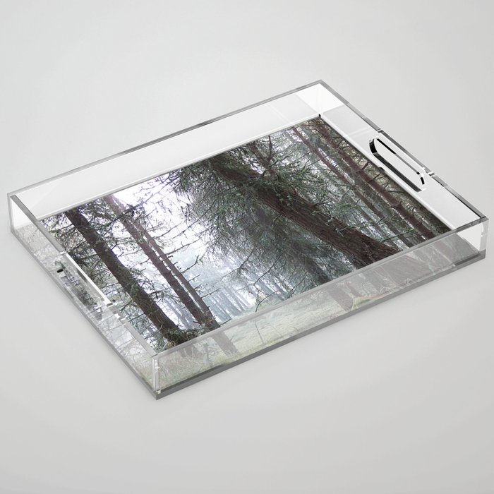 Scottish Pine Forest Misty View in Afterglow Acrylic Tray