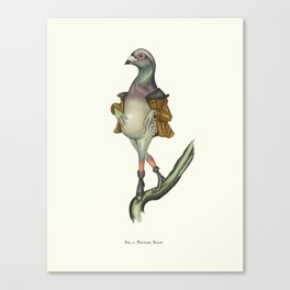 Vintage Style Pigeon Toad Canvas Print