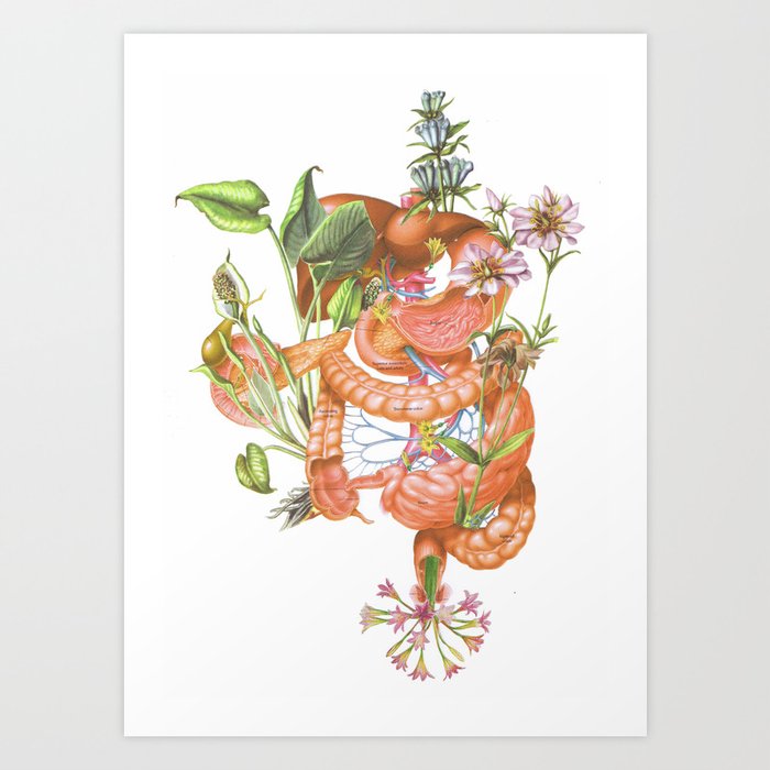 Gut Flora Art Print