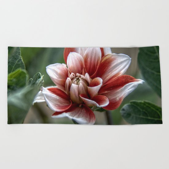 Unfurling flower Beach Towel