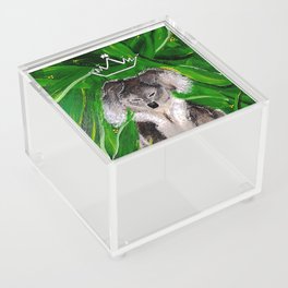 Love for Australia Acrylic Box