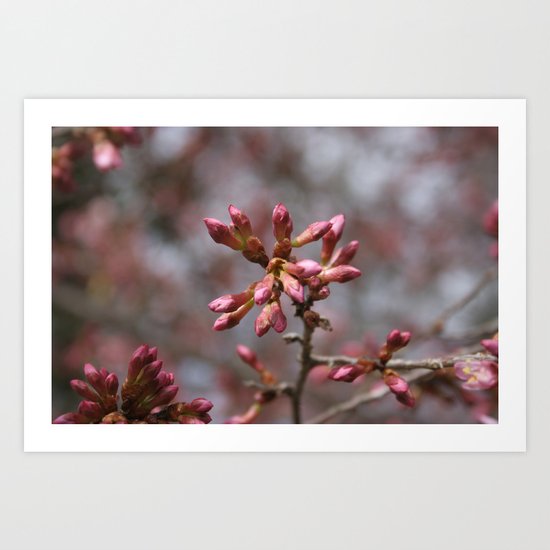 new pink season Art Print