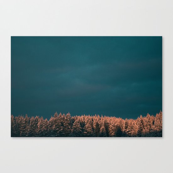 Forest XX Canvas Print