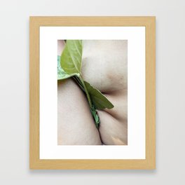 soft leaves Framed Art Print