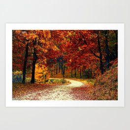 Autumn Road Art Print