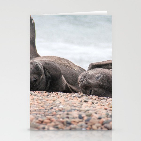 Argentina Photography - Southern Elephant Seals Laying On The Beach Stationery Cards
