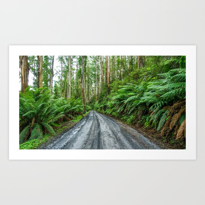 Mt Donna Buang, Warburton, Victoria Art Print by Ross Campbell Society6 Mt Donna Buang, Warburton, Victoria Art Print by Ross Campbell Society6