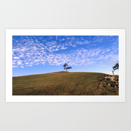 Tree on the island of Olkhon Art Print