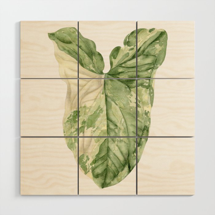 Syngonium Albo Variegata Watercolor Leaf Painting Wood Wall Art