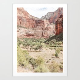 Zion National Park Nature Photo | Meadow Landscape In Utah Art Print | USA Travel Photography Art Print