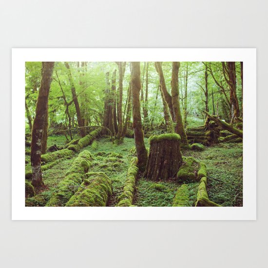 Mossy Forest Art Print