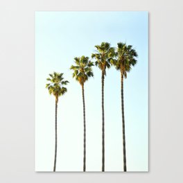 Four Palm Trees Canvas Print