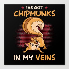 Chipmunk Canvas Print