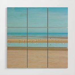 Seagulls on Beach Photo | Beige Blue Coastal Landscape Photography  Wood Wall Art