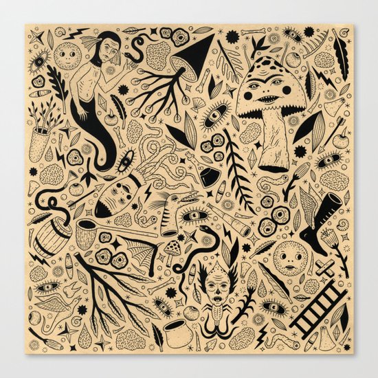 Curious Collection No. 9 Canvas Print