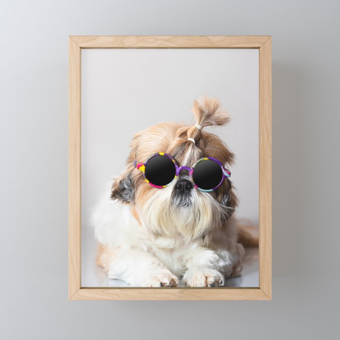 Cool Shih Tzu dog with sunglasses Framed Mini Art Print