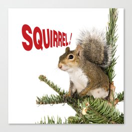 Squirrel! Canvas Print