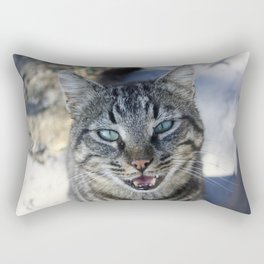 Chatty Cat Chirruping Pet Photography Rectangular Pillow