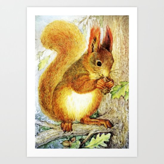 Squirrel Art Print