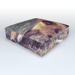 Raccoon Procyon lotor a vector in the transmission of rabies to humans and other animals Outdoor Floor Cushion | Carrier, Infection, Risk, Animal, Racoon, Sickness, Diagnosis, Lyssaviruses, Cdc, Raccoon 