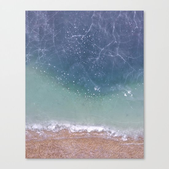 Frozen Canvas Print