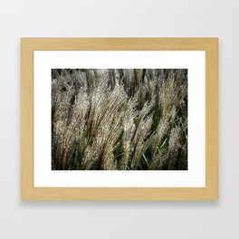 In the tall grass. Framed Art Print