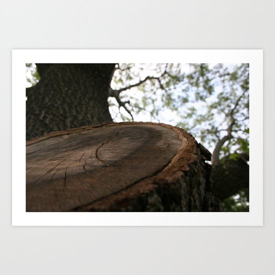 Nature Cracked Art Print
