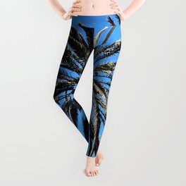 Palm Tree with clear blue sky as a tropical theme Leggings