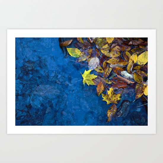 Reflections Art Print