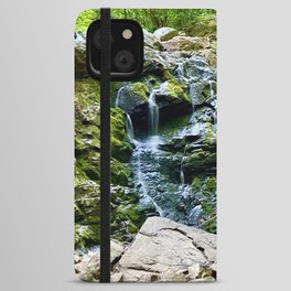 Waterfall in the Valley iPhone Wallet Case