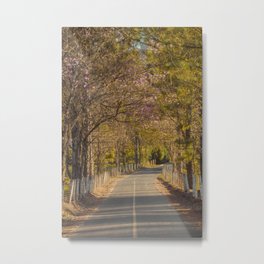 On The Road Metal Print | Photo, Country, Farm, Beautiful, Digital, Tree, Ontheroad, Nature, Rural, Trees 
