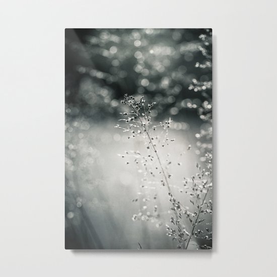 silver rain Metal Print