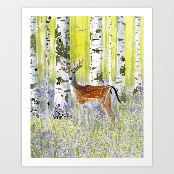 Deer In Bluebell Woods Art Print