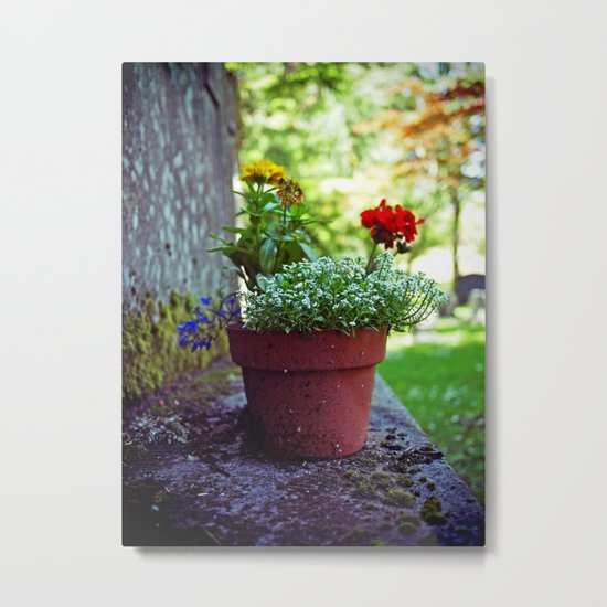 Cemetery plant Metal Print