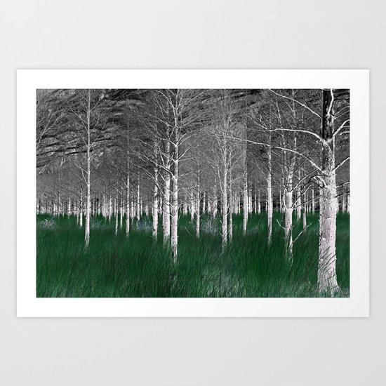 The woods are lovely, dark and deep part 1 Art Print