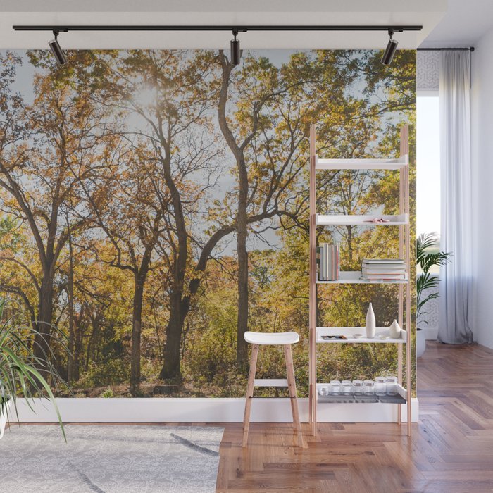 A Walk in the Woods - Autumn Nature Photography Wall Mural