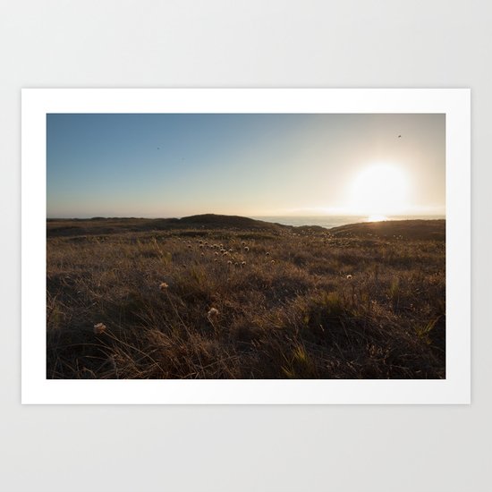 Sunset field Art Print