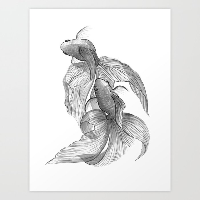 Zen Fishes Art Print