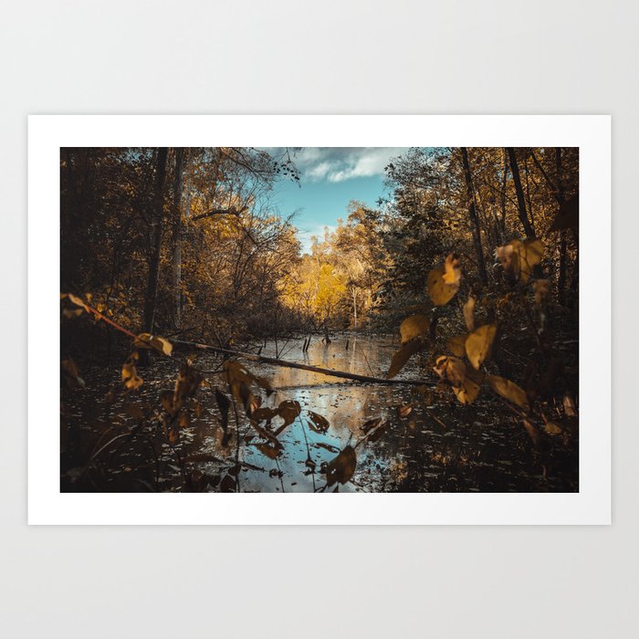 Quiet Creek. Photograph Art Print